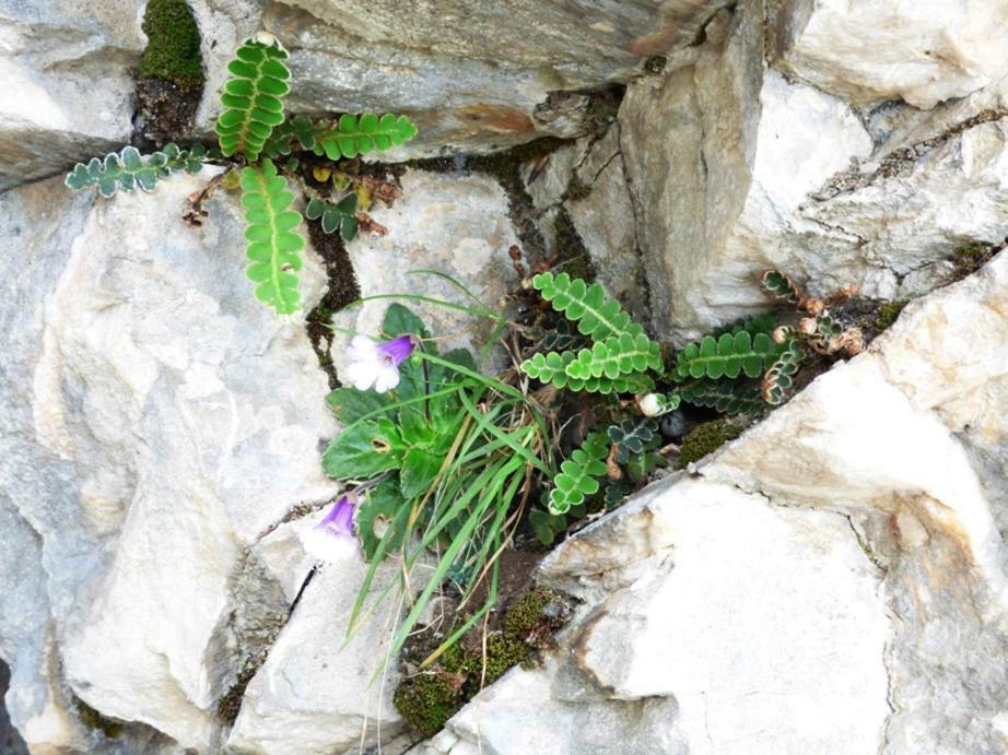 Nestos, Meer Und Berge - Griechenland Mal Anders Zarkadhiá المظهر الخارجي الصورة
